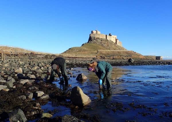 Rocky shore surveying. Picture by Catherine Scott