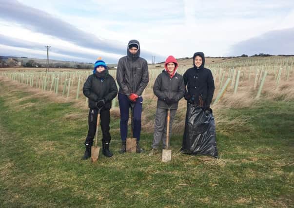 Duchess's Community High School students Owen Douglas, Joseph Brunger, Max Harrison and James Carragher plant trees to help raise funds towards a trip-of-a-lifetime to the Galapagos Islands.