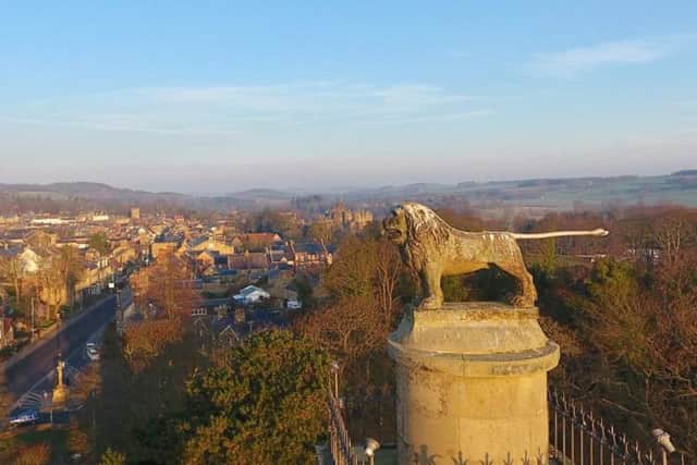 Not so much a bird's eye view as a lion's. Spectacular shot of Alnwick at sunrise by David Taylor, seen from the top of the Tenantry Column. 150 Facebook likes