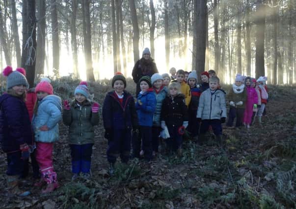 Pupils from Hugh Joicey C of E First School at Ford enjoying a woodland walk.
