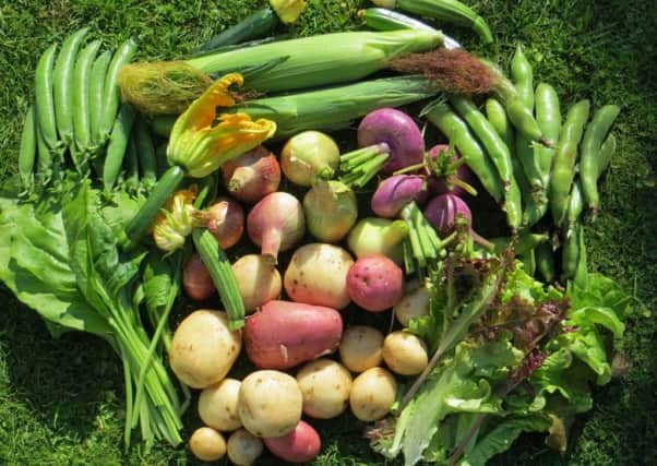 Home-grown vegetables make economic sense, as well as give a sense of pride and confidence that they are safe to eat. Picture by Tom Pattinson.