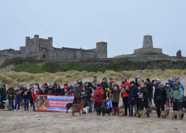 A gathering was held on Bamburgh beach to raise awareness of stolen dogs Ruby and Beetle and National Dog Theft Awareness Day.