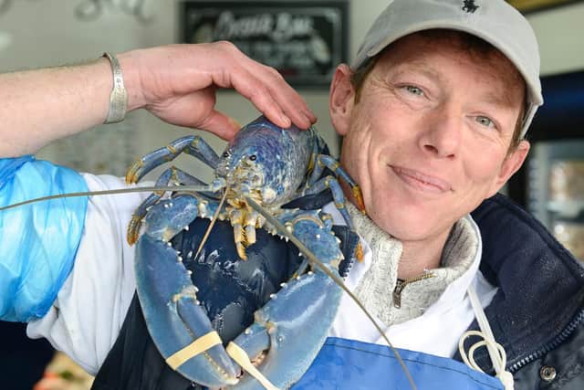 Tony McLean of Collingwood Seafoods with his blue lobster. Picture by Jane Coltman.