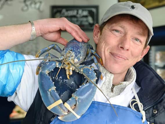Tony McLean of Collingwood Seafoods with his blue lobster. Picture by Jane Coltman.