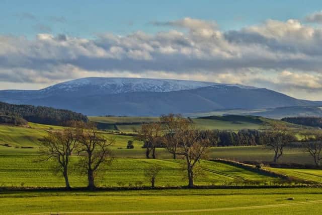 SECOND:  A snow-capped Cheviot, taken from Duddo by Darren Chapman. 126 Facebook likes
