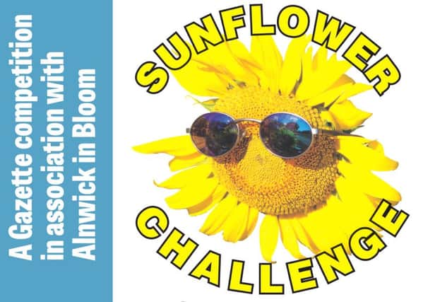 It's Sunflower Challenge time again.