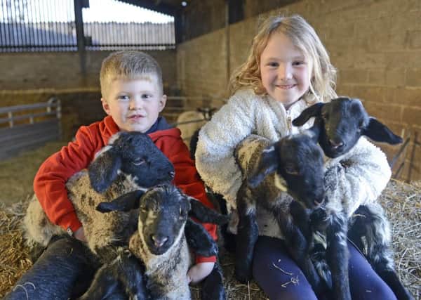 Dexter and Jessica Vickers with the quadruplets. Picture by Jane Coltman