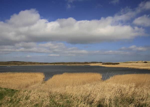 North Pool at Northumberland Wildlife Trust's 185-hectare East Chevington reserve at Druridge Bay.