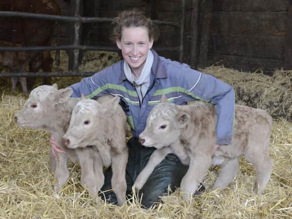 Lucy Jackson with the rare triplet calves. Picture by Jane Coltman