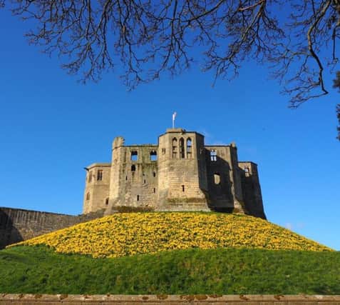 FIRST: A classic view of Warkworth Castle with the daffodils in bloom, by Harold Hann, a member of our Northumberland Camera Club Facebook group by photographer Ivor Rackham. 387 Facebook likes