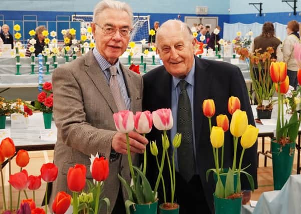 Alnwick Spring Show chairman David Parker shows Sir John Hall some of the blooms.
Picture by Jane Coltman