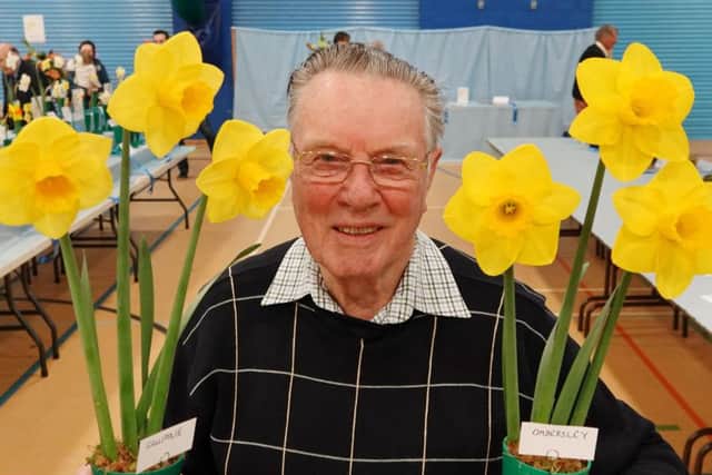 At Alnwick Spring Show 2019 Morris Robinson won the championship class in the daffodils and also had the best daffodil in bloom. Picture by Jane Coltman