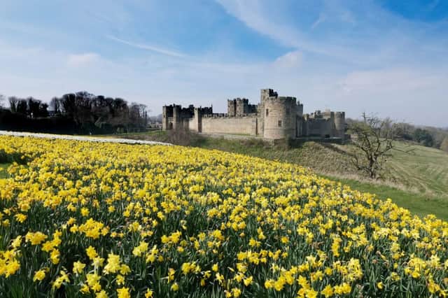 Alnwick Castle. Picture by Jane Coltman