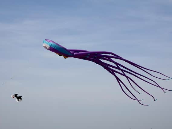 Newbiggin Kite Festival. Pictures by Jane Coltman