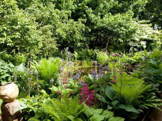 Tips on tending a north-facing garden