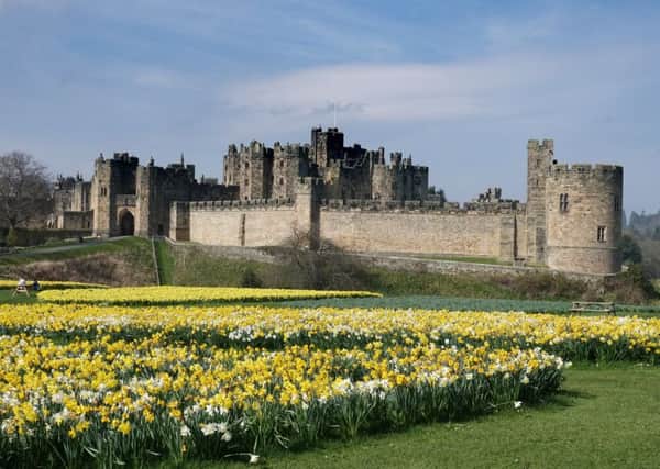 Alnwick Castle, home of Hogwarts. Picture by Jane Coltman