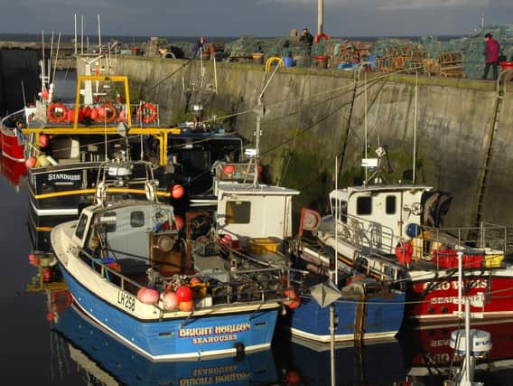 Fishing boats in Seahouses harbour. Picture by Jane Coltman