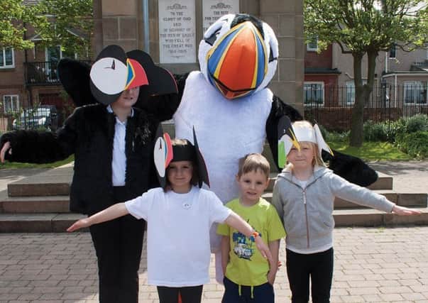 Amble Puffin Festival mascot Tommy Noddy is getting ready for this year's event with some puffin theatre.