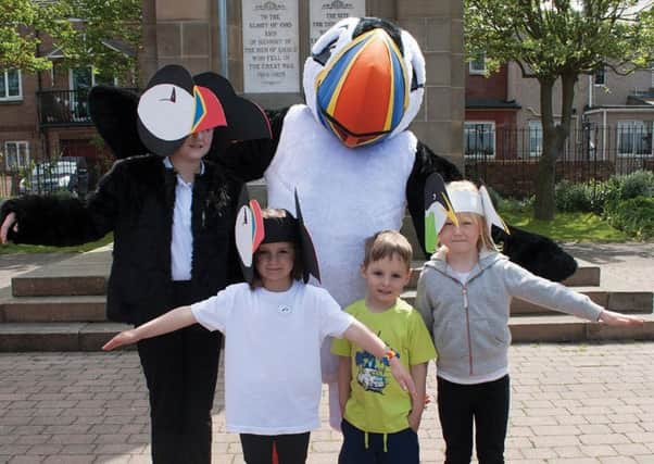 Amble Puffin Festival mascot Tommy Noddy is getting ready for this year's event.
