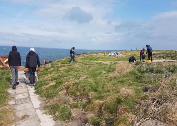 Coast Care Young Rangers at work on Coquet Island. Picture by Jane Smith
