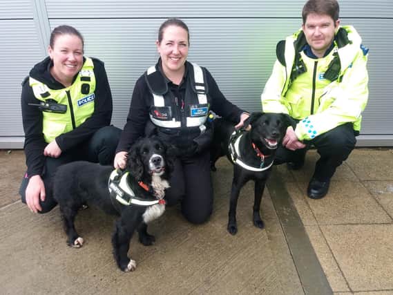 PC Sim, Rachael from Wagtails and Community Safety Officer Johnson with sniffer dogs Buster and Ted.
