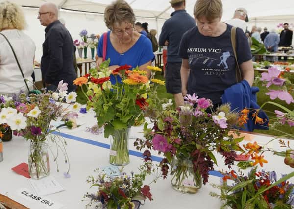 A previous Warkworth Show  Picture by Jane Coltman
