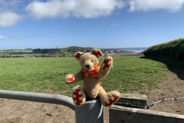 A where was Northumbear competition on social media  to win a teddy bears picnic at the Salt Water Cafe in Beadnell proved popular.