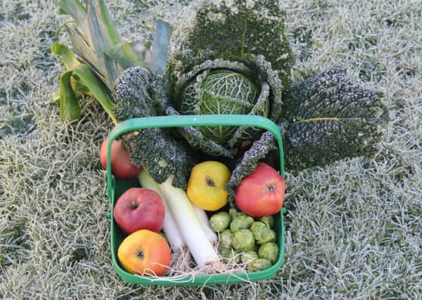Year-round vegetables and fruits from the garden.