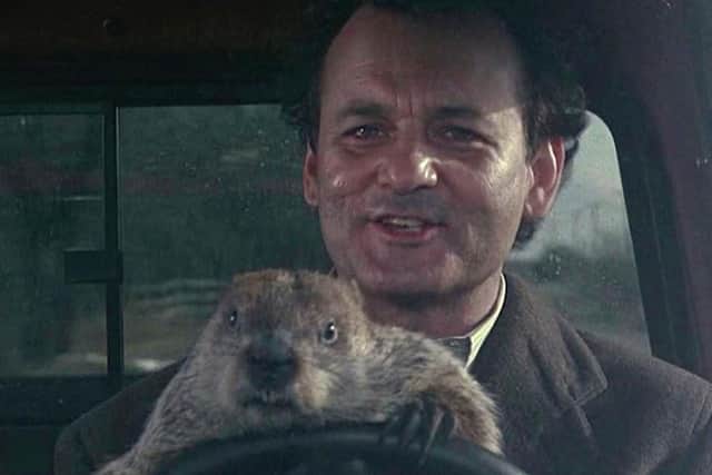 Bill Murray in Groundhog Day.