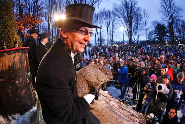Groundhog Club handler Ron Ploucha holds Punxsutawney Phil, the weather prognosticating groundhog, during the 129th celebration of Groundhog Day on Gobbler's Knob in Punxsutawney, Pa., Monday, Feb. 2, 2015