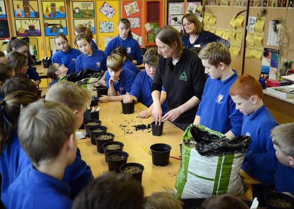 Year 7 pupils at Glendale Middle School planting their mini-meadow pots.
