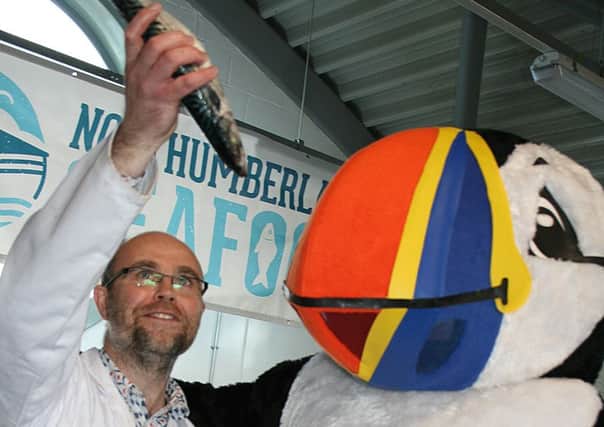 Plans are being drawn up for a food festival in Amble, to coincide with the Amble Puffin Festival.