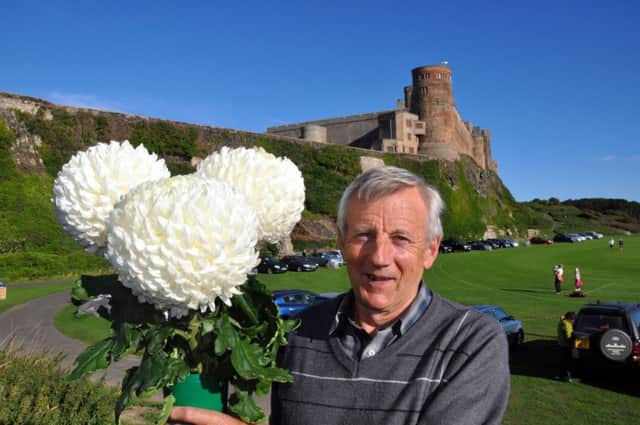Alan Warnaby, who cleaned up with his chrysanthenums at Bamburgh Show in 2013.