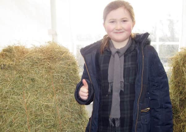 Thumbs up for Flame. Sian McCubbin (eight) with her pet cow's Â£110 Valentine's Day gift