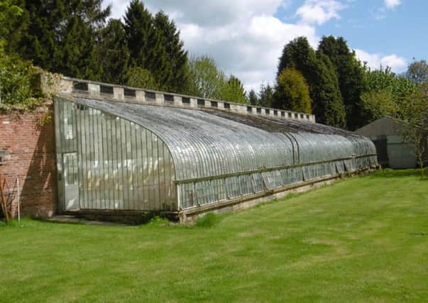 The glasshouse and potting shed at Felton Park prior to the restoration.