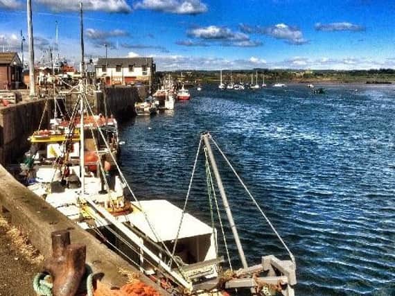 Warkworth Harbour. Picture by Sue Swanston.