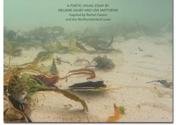 The front cover of Two Rivers & the Sea, a poetic-visual essay by Melanie Ashby and Lisa Matthews, inspired by Rachel Carson and the Northumberland coast.