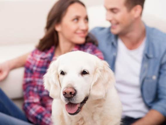 One in five prefer their pet to their partner