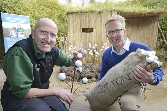 Head gardener Trevor Jones and Traidcraft Marketing Manager Larry Bush with the hut that has been built in the bamboo maze at Alnwick Garden.
Picture by Jane Coltman
