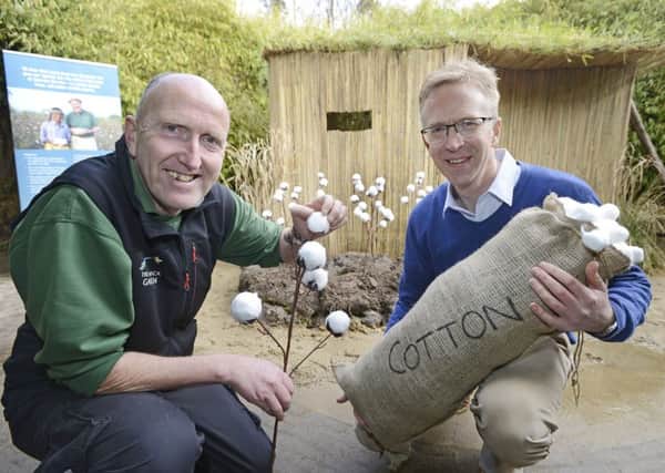 Head gardener Trevor Jones and Traidcraft Marketing Manager Larry Bush with the hut that has been built in the bamboo maze at Alnwick Garden.
Picture by Jane Coltman