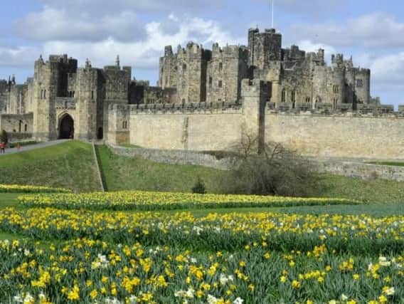 Alnwick Castle will host open-air screenings of Harry Potter and the Philosopher's Stone and Robin Hood: Prince of Thieves later this year. Picture by Jane Coltman