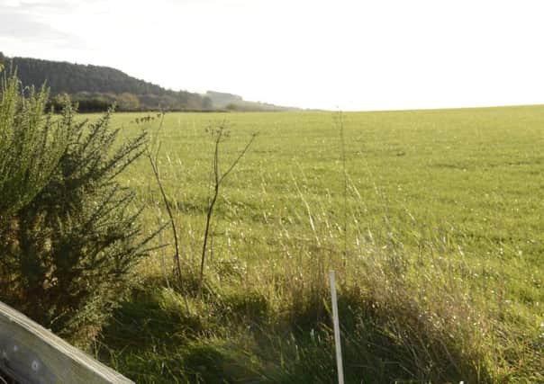 The site of the proposed homes opposite the middle school in Rothbury.