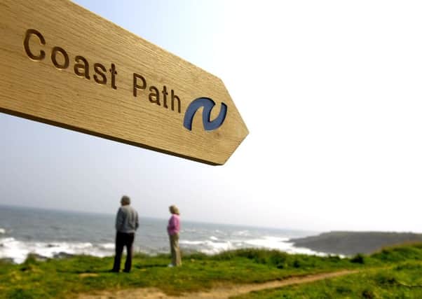 The Northumberland Coast Path at Howick. Picture by Gavin Duthie