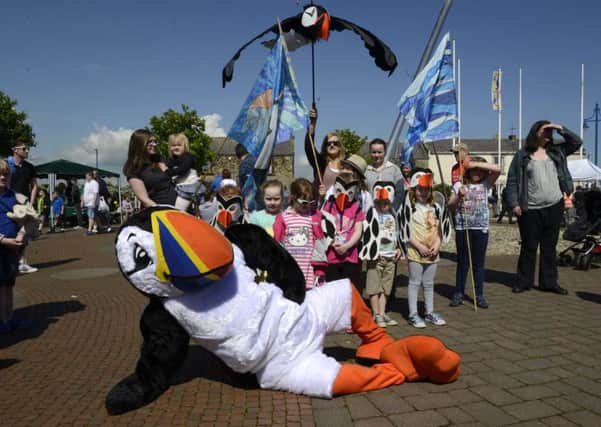 This year's Amble Puffin Festival starts on Saturday. Picture by Jane Coltman