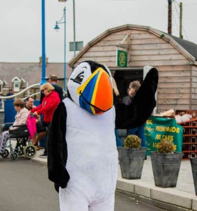 Puffin-festival mascot Tommy Noddy. Picture by Andrew Mounsey
