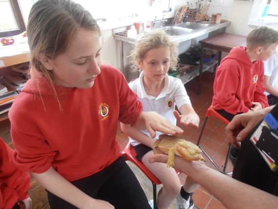 Pupils from the Duke's Middle School in Alnwick get up close to some critters.