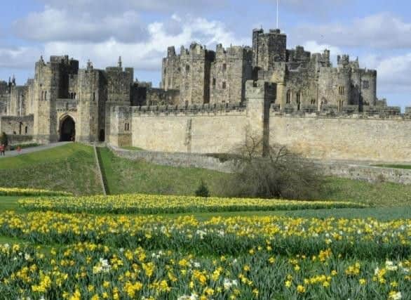 Alnwick Castle, which was Hogwarts in the first two Harry Potter films. Picture by Jane Coltman