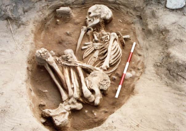 One of the skeletons from the Bamburgh Bowl Hole Cemetery.