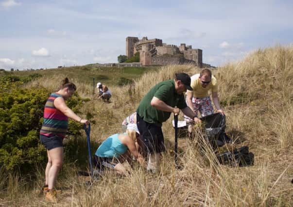 Volunteers from the Environment Agency removing piri piri burr in Bamburgh dunes. Picture by Iain Robson