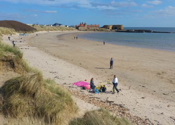 Beadnell Bay is one of many stunning beaches in Northumberland. 
Picture by Jane Coltman